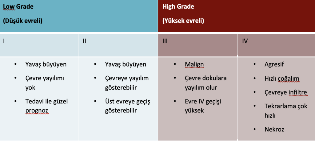 Beyin Tümörü 2 Beyin Tumoru Ismail Bozkurt