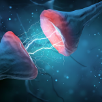 sinaptik budama pruning nöroplastisite sinaps otizm şizofreni astrosit glial